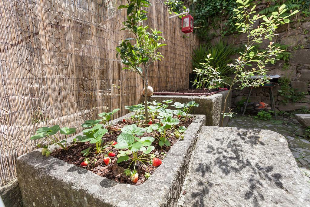 Bracara Hostel Braga Ngoại thất bức ảnh